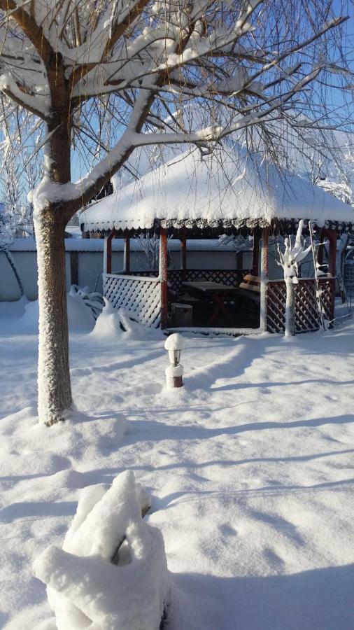 Casa De Vacanta Motata Novaci-Străini Eksteriør bilde